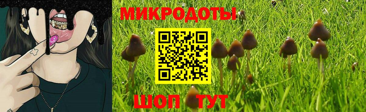 Псилоцибиновые грибы Psilocybine cubensis Клин